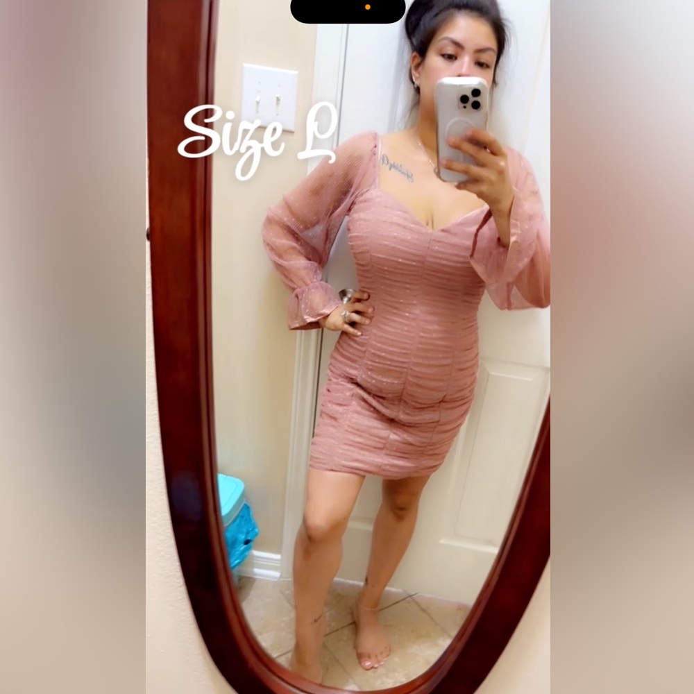 Haute Monde Long Sleeve Dress in Blush